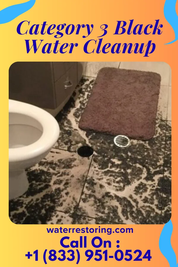 Category 3 Black Water Cleanup in Siracusaville, LA