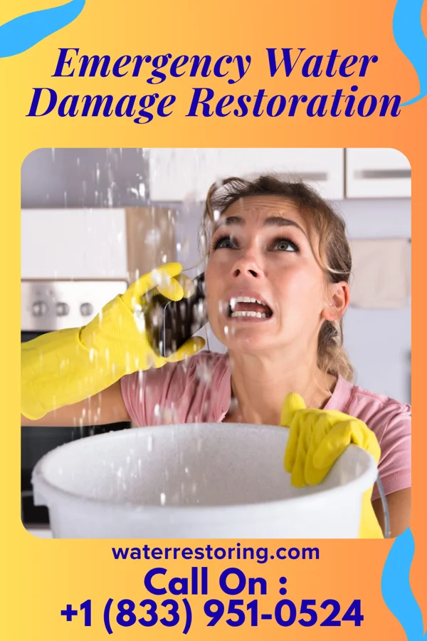 Emergency Water Damage Restoration in Siracusaville, LA